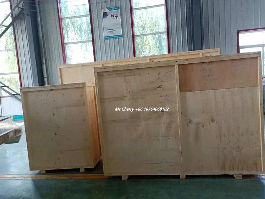 Loading Corn Snacks Machine