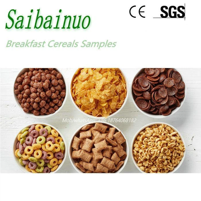 Cornflakes Producing Plant